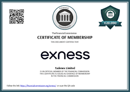 Trading with Exness Mt5 A Comprehensive Guide