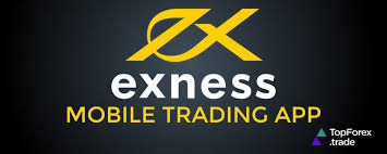 Ultimate Guide to Exness Webtrader Login A Comprehensive Overview